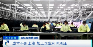 羽絨服輪番漲價(jià) 中高端產(chǎn)品還賣得更火了？